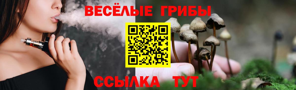 Менделеевск  Галлюциногенные грибы мухоморы  Вход с VPN 